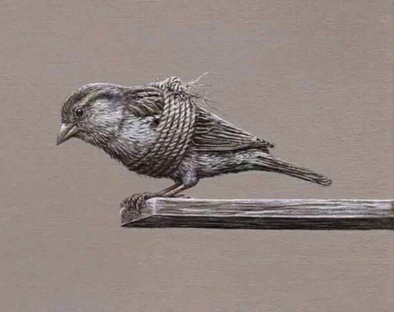 3 СРЕДСТВА ОТ БЕСПОМОЩНОСТИ